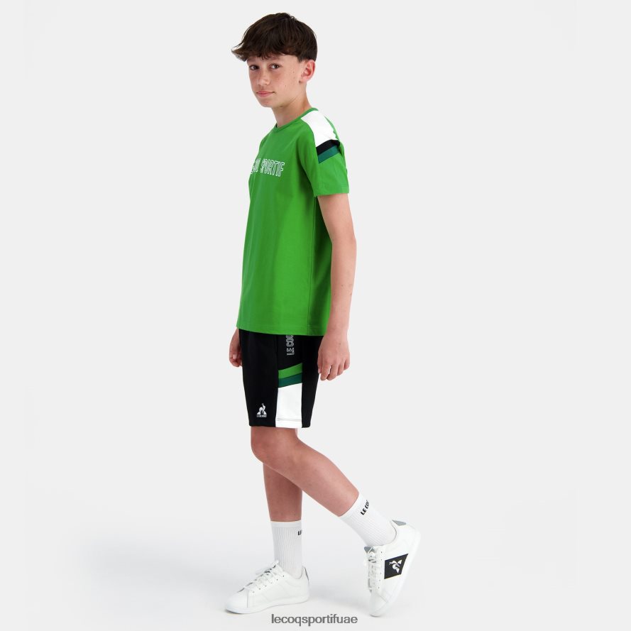 متعدد الألوان أطفال شورت متعدد الألوان Le Coq Sportif ملابس 2684VH405