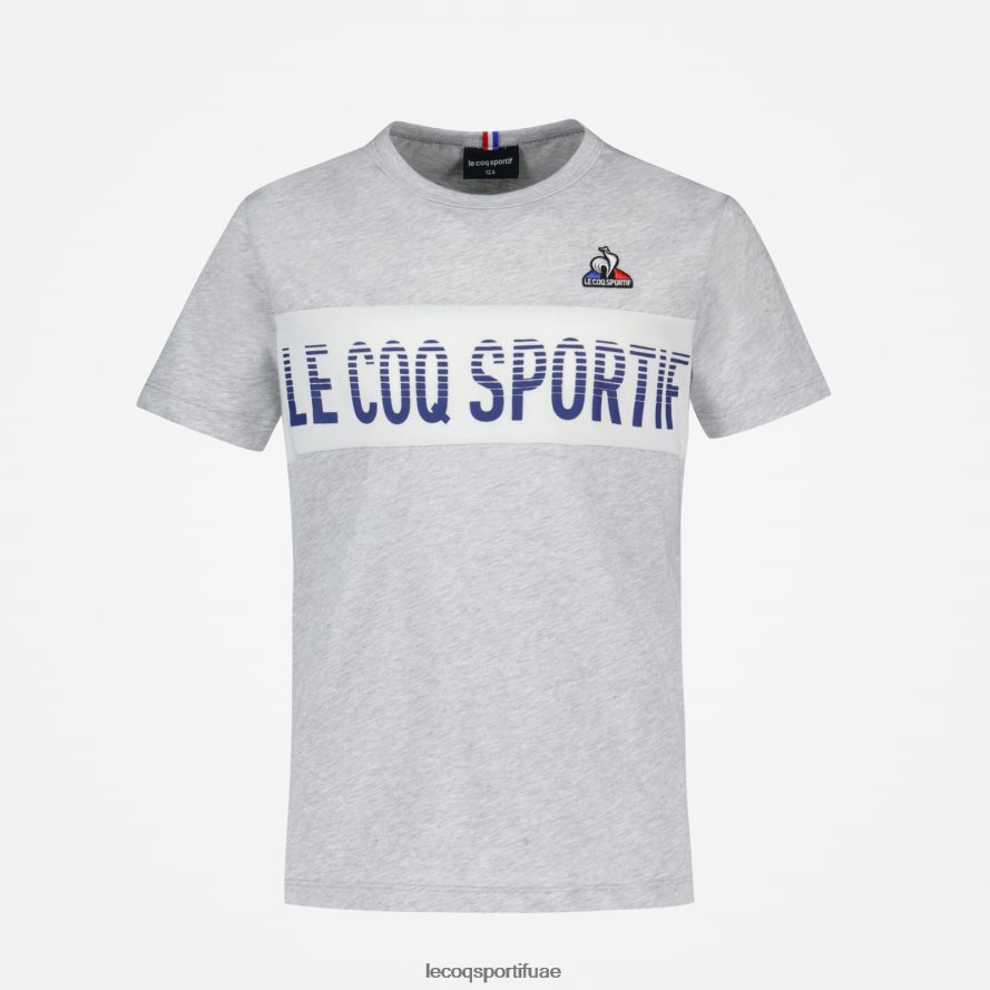 رمادي أطفال تي شيرت رمادي Le Coq Sportif ملابس 2684VH640